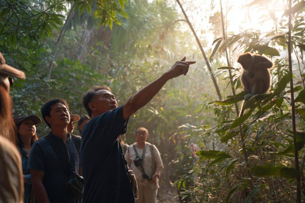 singes sauvages dans la nature a koh samui
